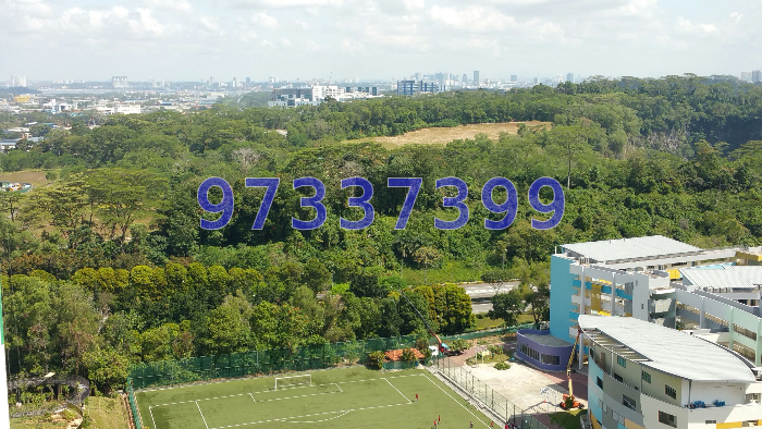 Blk 630 Senja Road (Bukit Panjang), HDB 4 Rooms #44312342